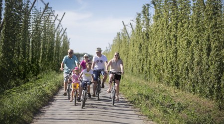 Fietsverhuur St.Bernardus